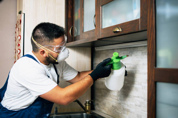 Best Residential Pest Control  in Roseville, MI