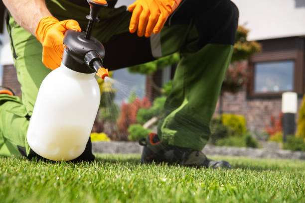 Best Local Pest Control Services  in Roseville, MI