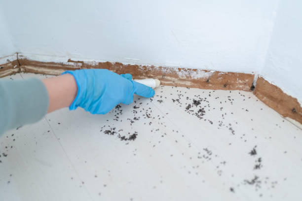 Pest Prevention Services in Roseville, MI