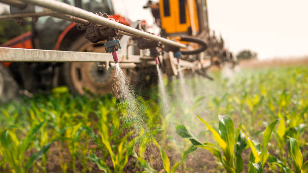 Best Pest Control for Homes  in Roseville, MI