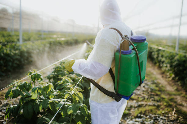 Roseville, MI Pest Control Company